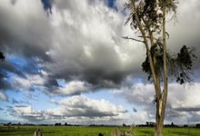 意昂体育官网：1-1！塞鸟首秀隐身，恩家德乌染红，成都蓉城客场逼平10人国安！.