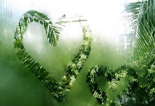 主教练和外援发表不当言论，CBA官方发函警告新疆男篮九派新闻.