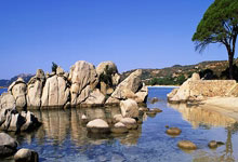 意昂体育官网：[举重]全国举重锦标赛 男子102公斤级决赛.